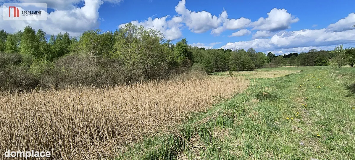 Działka 8000 m² na Kaszubach - Niedamowo — zdjęcie 13