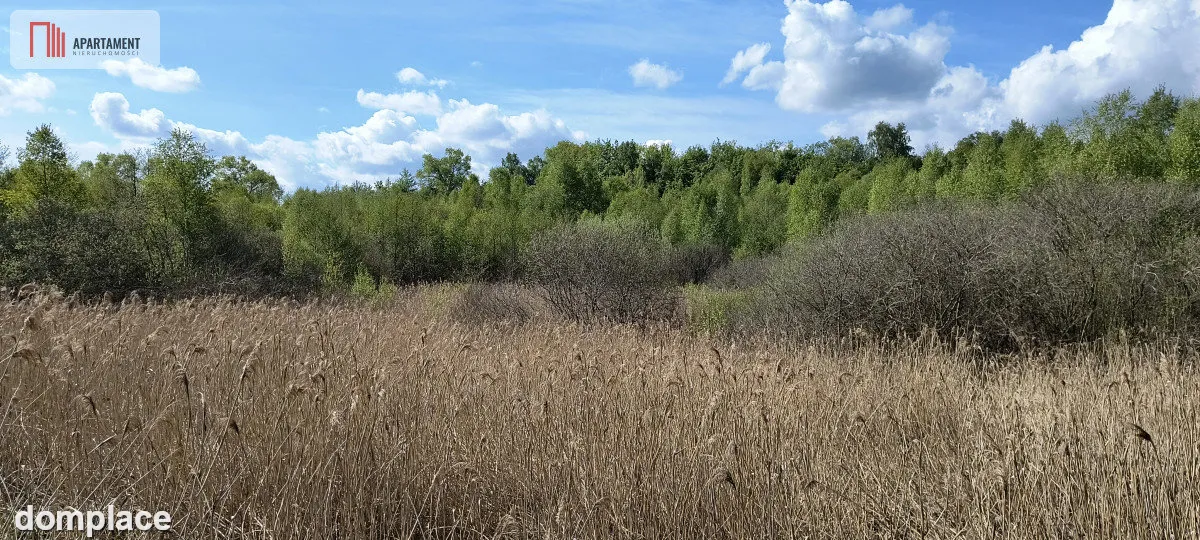 Działka 8000 m² na Kaszubach - Niedamowo — zdjęcie 14