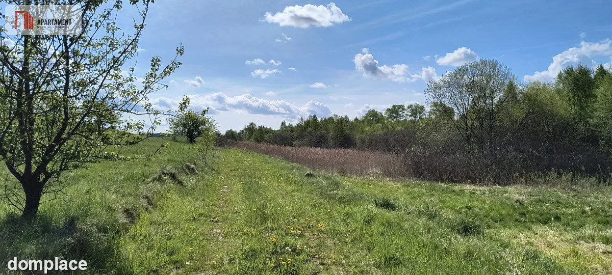 Działka 8000 m² na Kaszubach - Niedamowo — zdjęcie 15