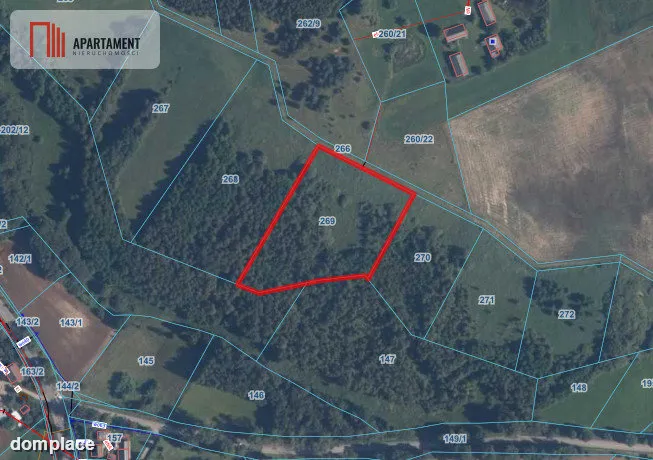 Działka 8000 m² na Kaszubach - Niedamowo — zdjęcie 17