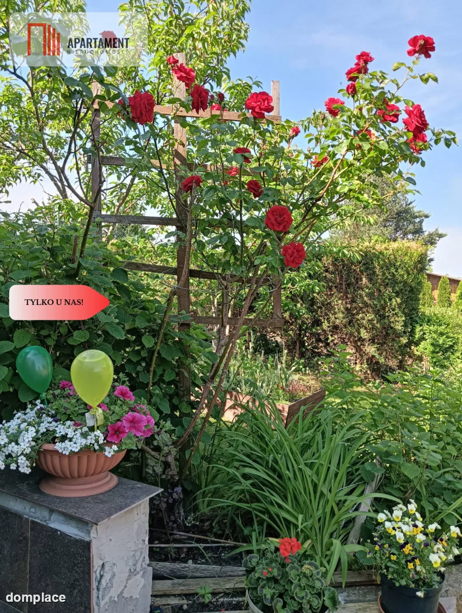 Działka rod, domek całoroczny., woda,  Bydgoszcz — zdjęcie 12