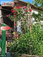Działka rod, domek całoroczny., woda, Bydgoszcz — zdjęcie 1
