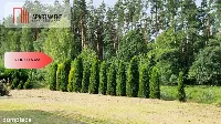 Wyjątkowa działka nad rzeką – Dębnica Kaszubska | — zdjęcie 3