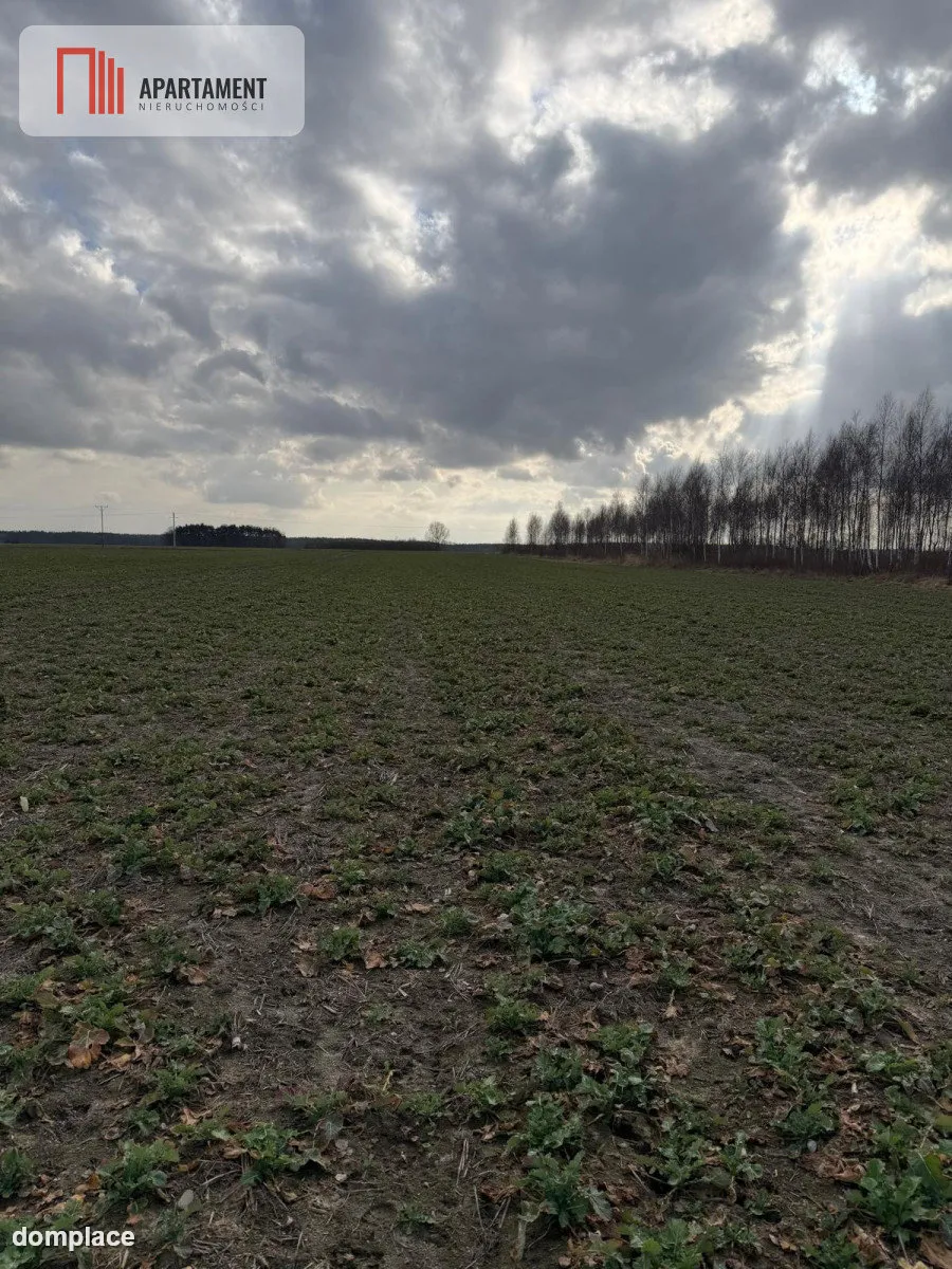 Działki budowlane w Chocianowcu, MPZP — zdjęcie 5