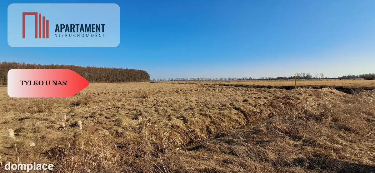 Działki budowlane - Kruszyn Krajeński