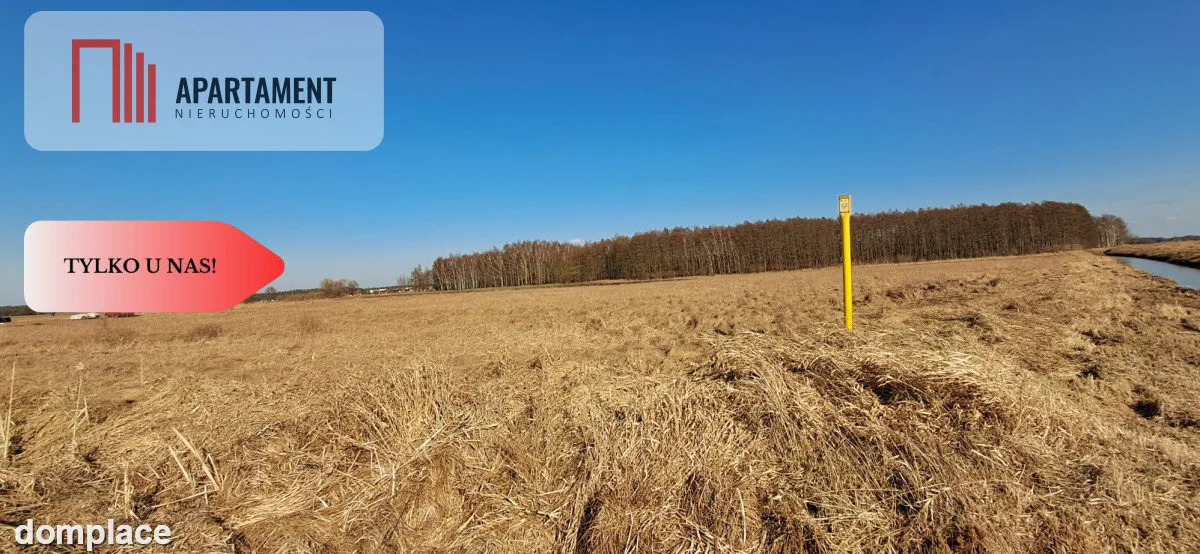 Działki budowlane - Kruszyn Krajeński — zdjęcie 4