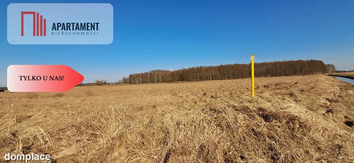 Działki budowlane - Kruszyn Krajeński — zdjęcie 5