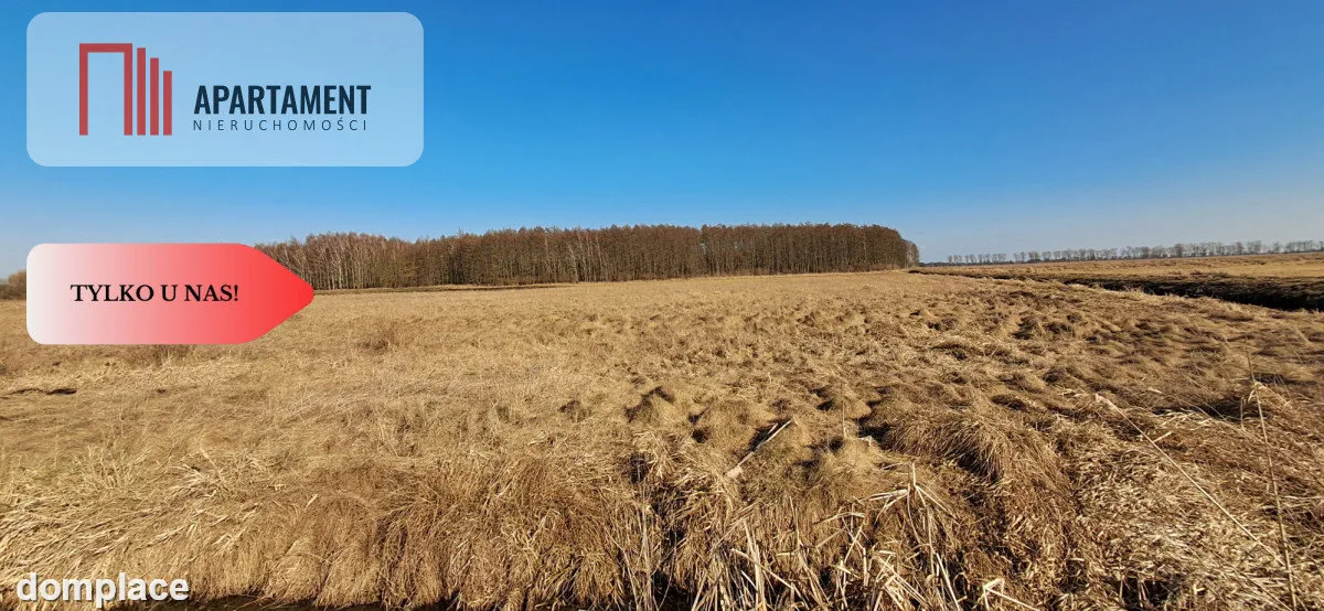 Działki budowlane - Kruszyn Krajeński — zdjęcie 6