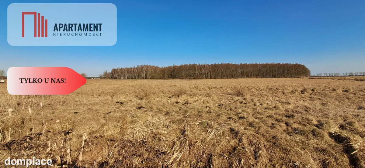 Działki budowlane - Kruszyn Krajeński — zdjęcie 7