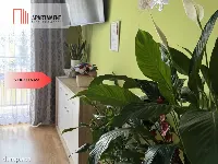 Przestronne mieszkanie 3 pokojowe — zdjęcie 3
