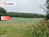 Tczew-Śliwiny z Warunkami Zabudowy — zdjęcie 2