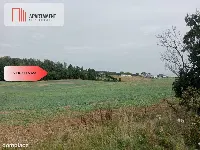 Tczew-Śliwiny z Warunkami Zabudowy — zdjęcie 3