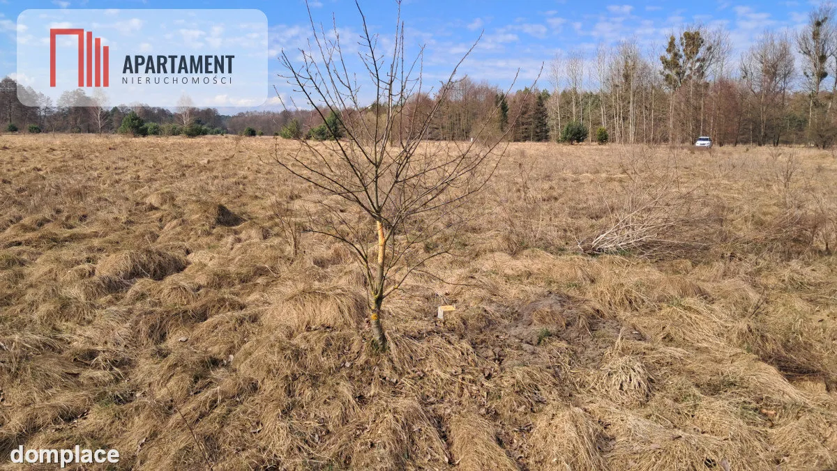 Działka 1170 m² w Jaraczu – Blisko Natury — zdjęcie 6
