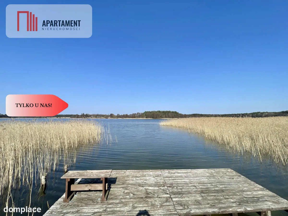 Działka z linią brzegową i własnym lasem! — zdjęcie 7