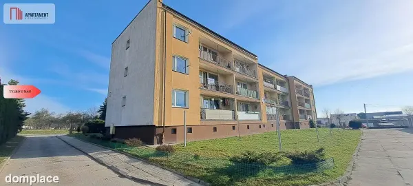 Duże słoneczne mieszkanie, pierwsze piętro — zdjęcie 3