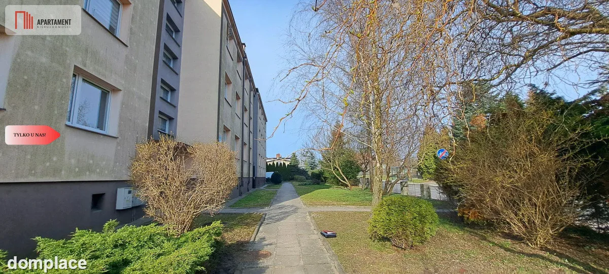 Duże słoneczne mieszkanie, pierwsze piętro — zdjęcie 4