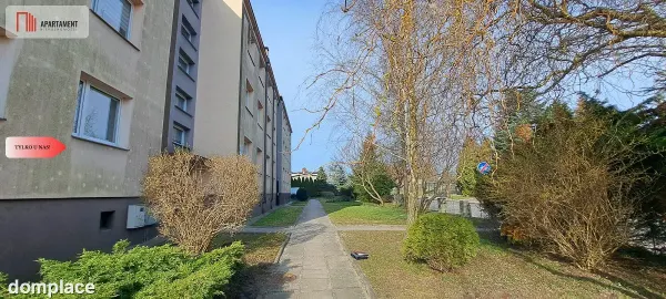 Duże słoneczne mieszkanie, pierwsze piętro — zdjęcie 4