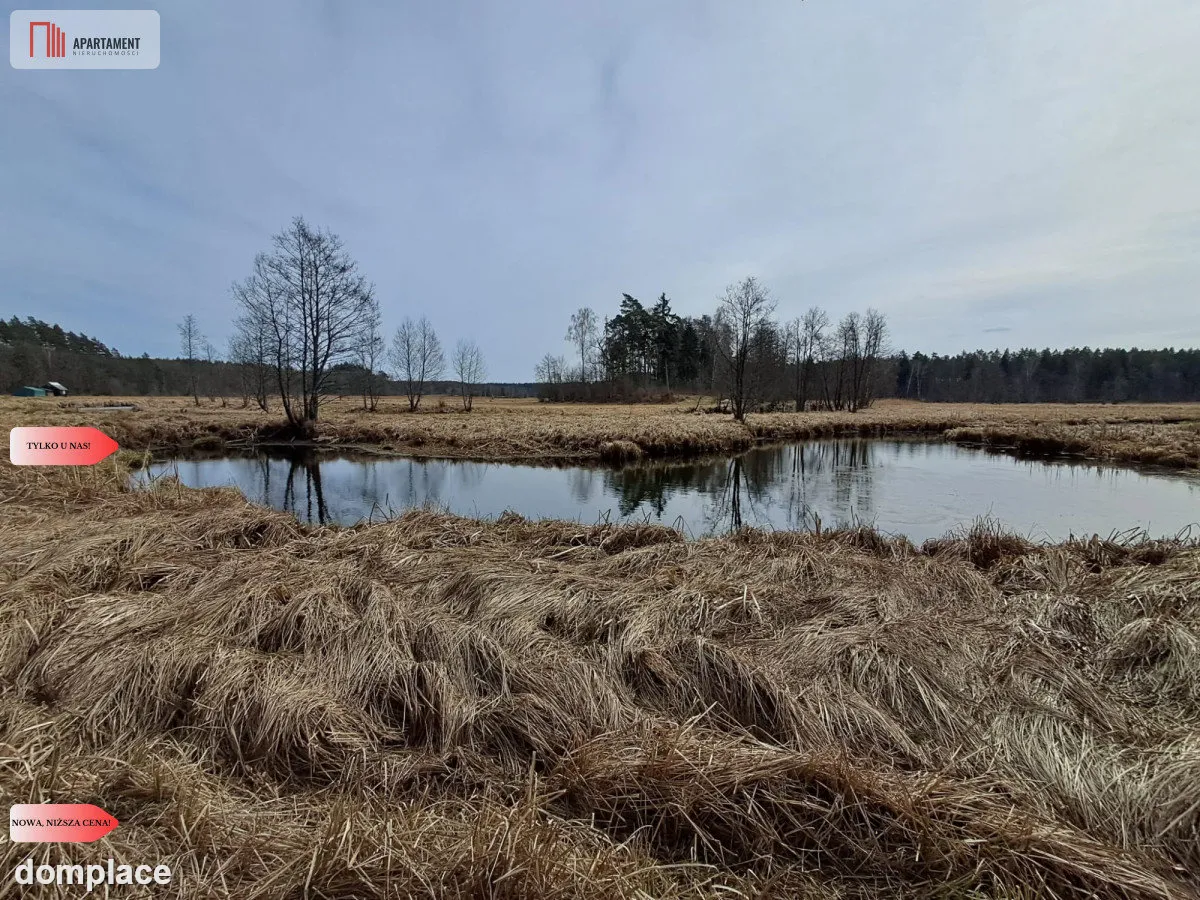 Działka 1,140 ha przy lesie Nad rzeką Wdą-Smolniki — zdjęcie 9