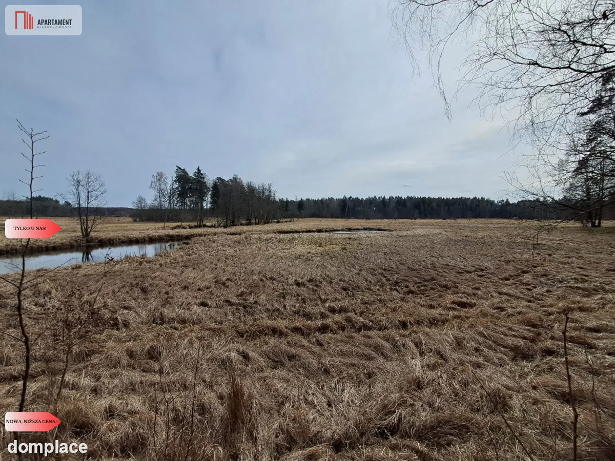 Działka 1,140 ha przy lesie Nad rzeką Wdą-Smolniki — zdjęcie 10