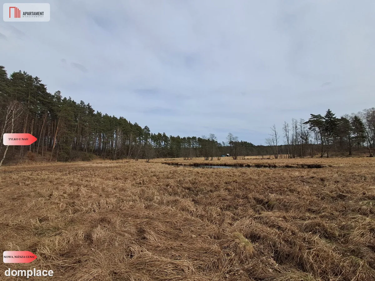 Działka 1,140 ha przy lesie Nad rzeką Wdą-Smolniki — zdjęcie 8