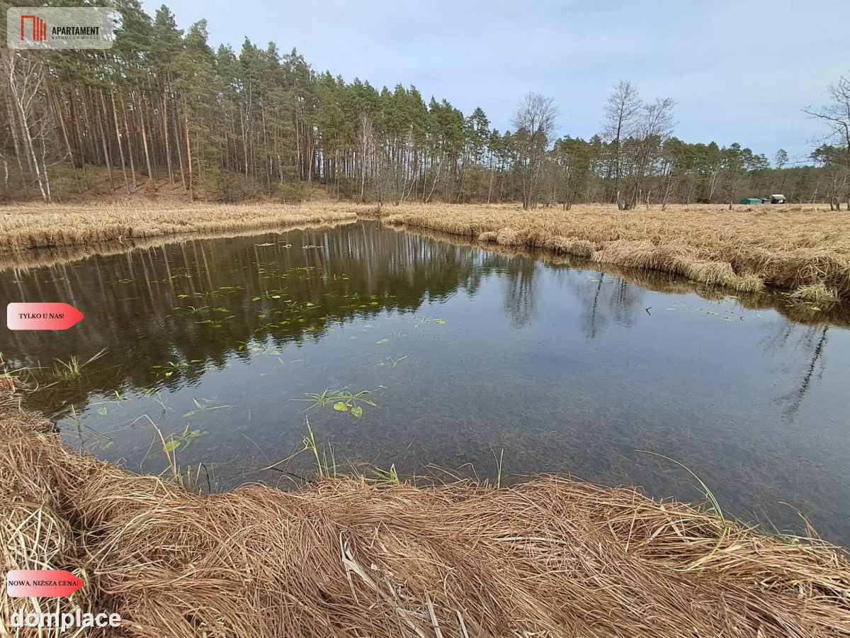 Działka 1,140 ha przy lesie Nad rzeką Wdą-Smolniki — zdjęcie 11
