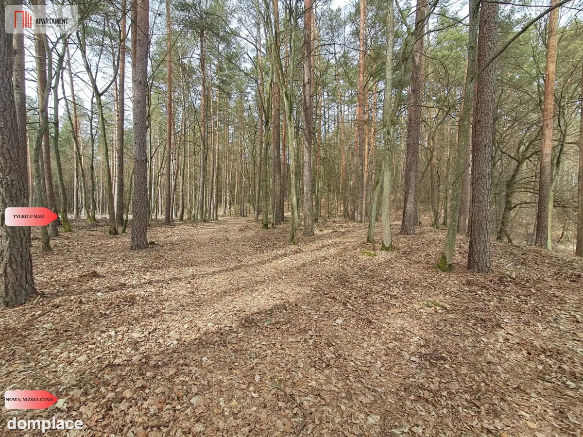 Działka 1,140 ha przy lesie Nad rzeką Wdą-Smolniki — zdjęcie 13