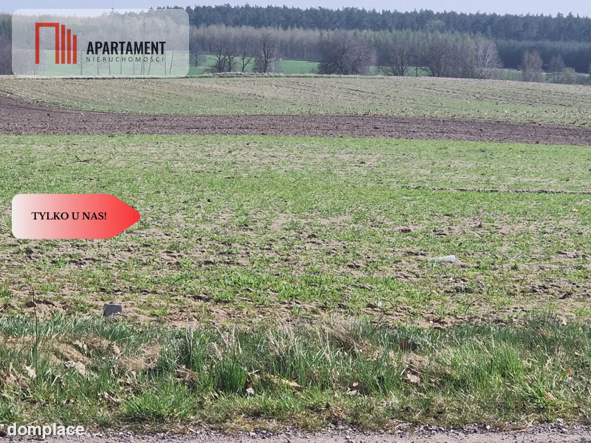 Działki budowlane z WZ w ładnej okolicy — zdjęcie 3