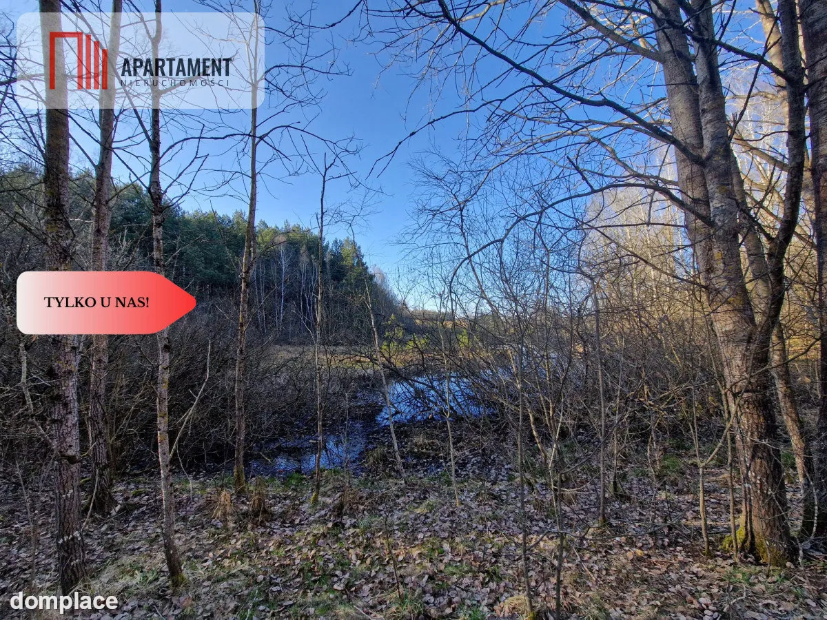 Działka siedliskowa 2 ha w Skorzewie — zdjęcie 12