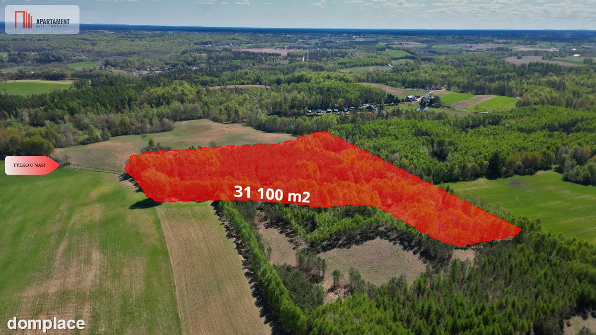 3 ha las, staw | Wydane warunki zabudowy — zdjęcie 10