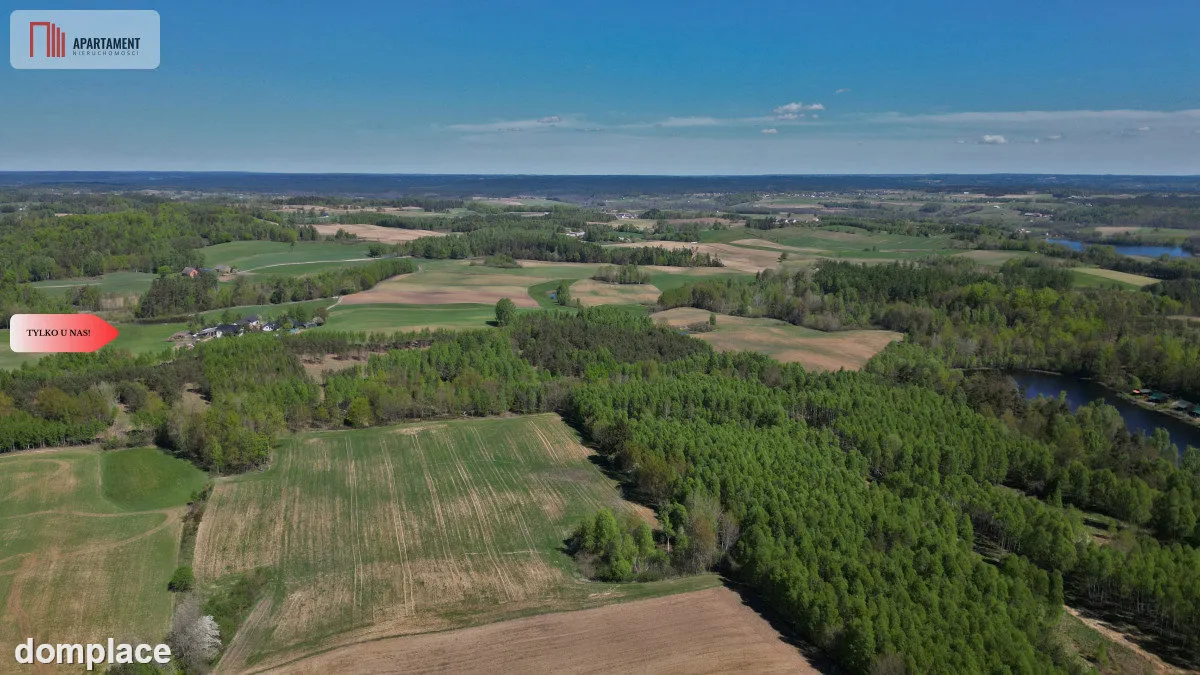 3 ha las, staw | Wydane warunki zabudowy — zdjęcie 12