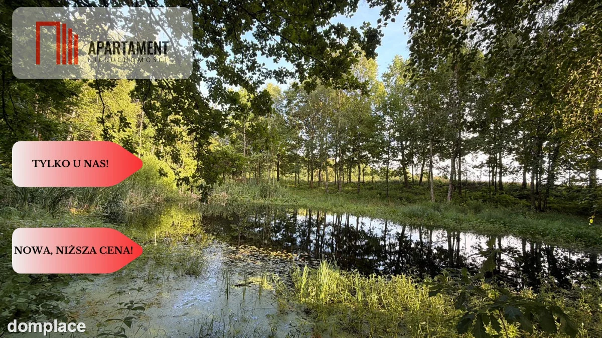 3 ha las, staw | Wydane warunki zabudowy — zdjęcie 2