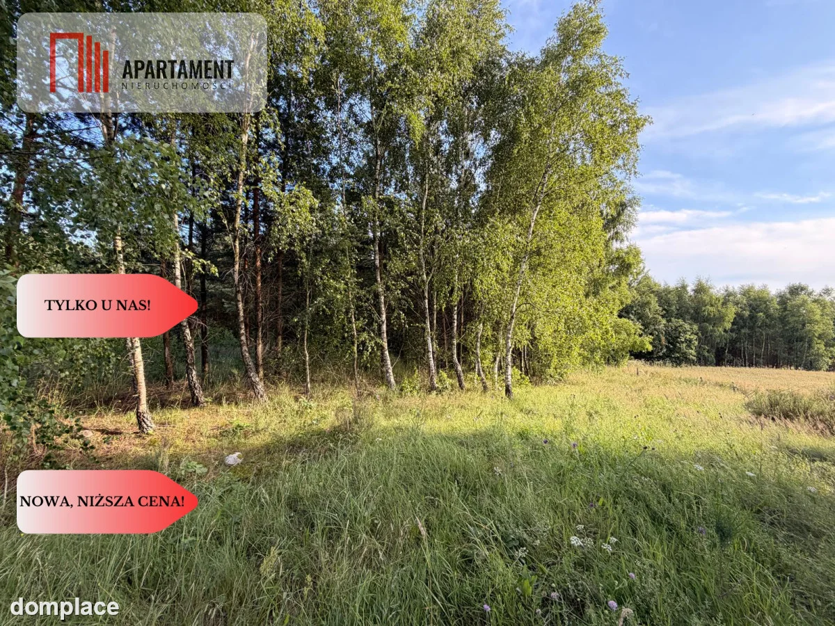 3 ha las, staw | Wydane warunki zabudowy — zdjęcie 3