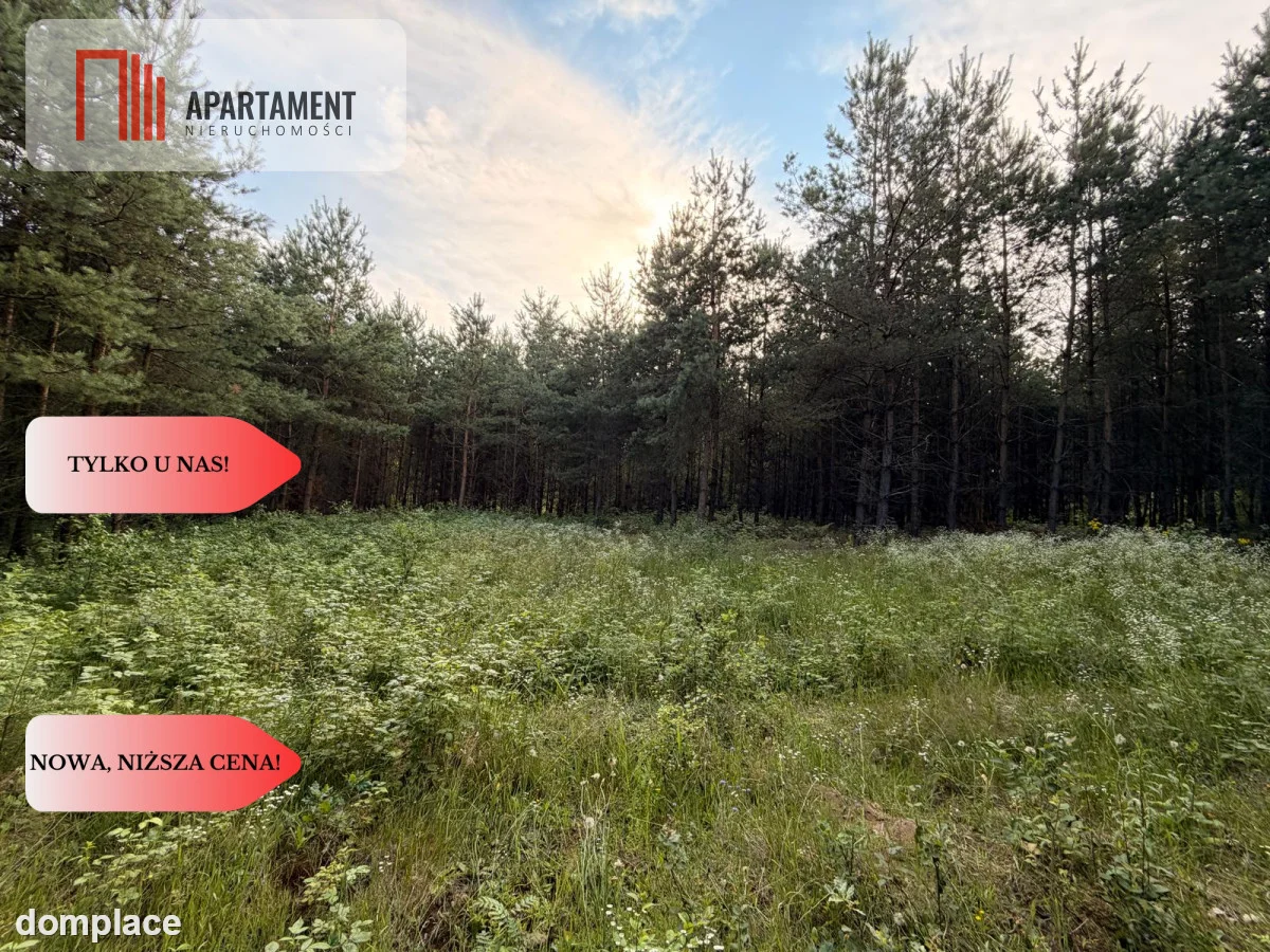 3 ha las, staw | Wydane warunki zabudowy — zdjęcie 5