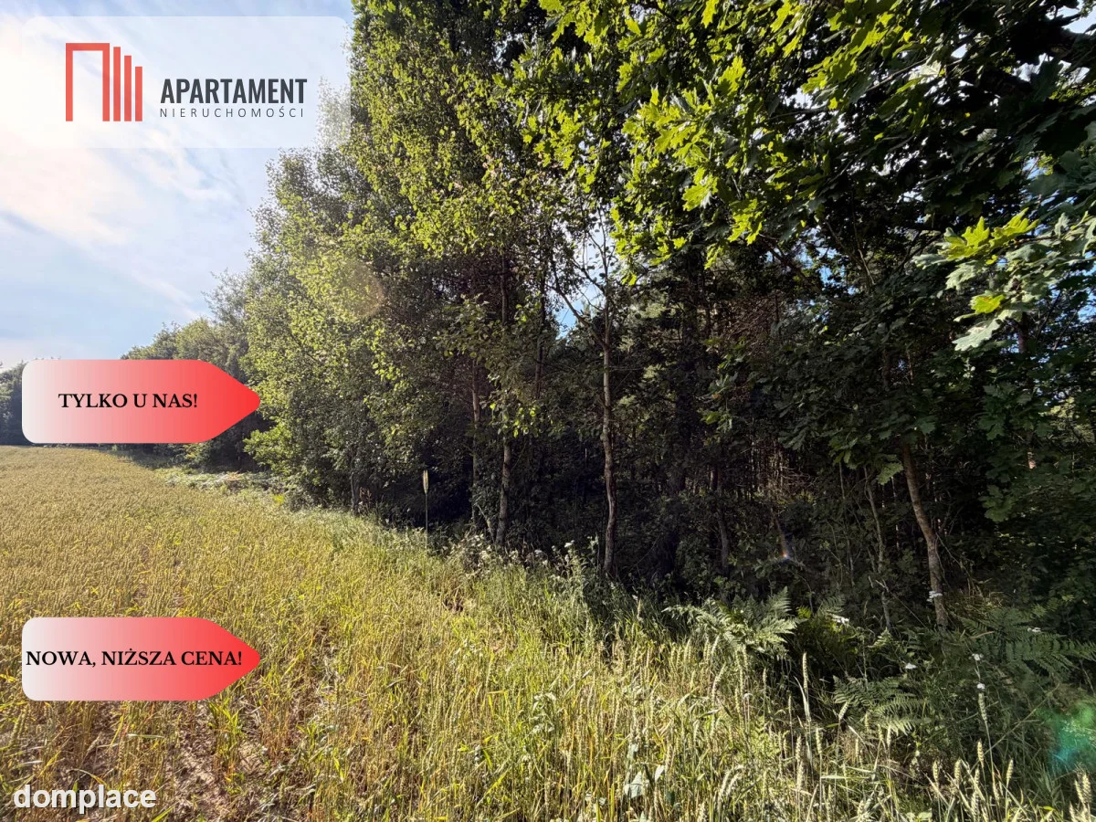 3 ha las, staw | Wydane warunki zabudowy — zdjęcie 6