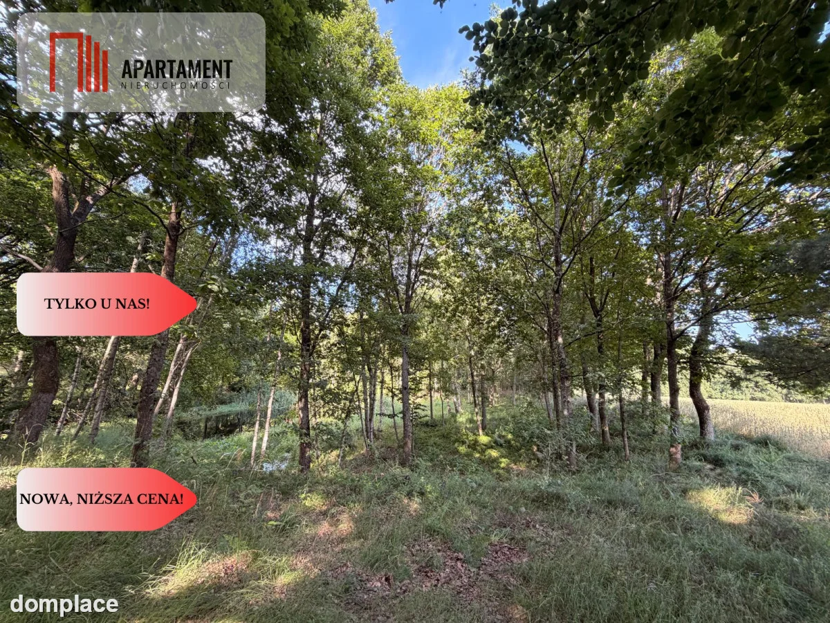 3 ha las, staw | Wydane warunki zabudowy — zdjęcie 7