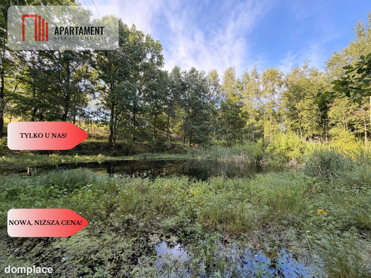 3 ha las, staw | Wydane warunki zabudowy — zdjęcie 8