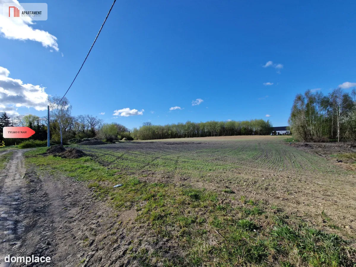Działka w Zajezierzu 300 m od jeziora. — zdjęcie 8