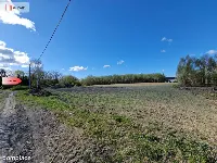 Działka w Zajezierzu 300 m od jeziora. — zdjęcie 8