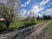 Działka w Zajezierzu 300 m od jeziora. — zdjęcie 11