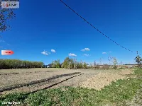 Działka w Zajezierzu 300 m od jeziora. — zdjęcie 12