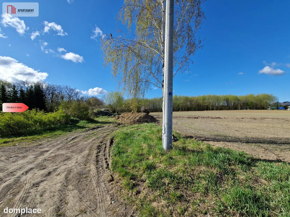Działka w Zajezierzu 300 m od jeziora. — zdjęcie 14