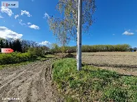 Działka w Zajezierzu 300 m od jeziora. — zdjęcie 14
