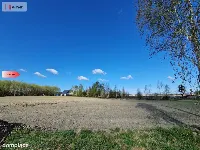 Działka w Zajezierzu 300 m od jeziora. — zdjęcie 16