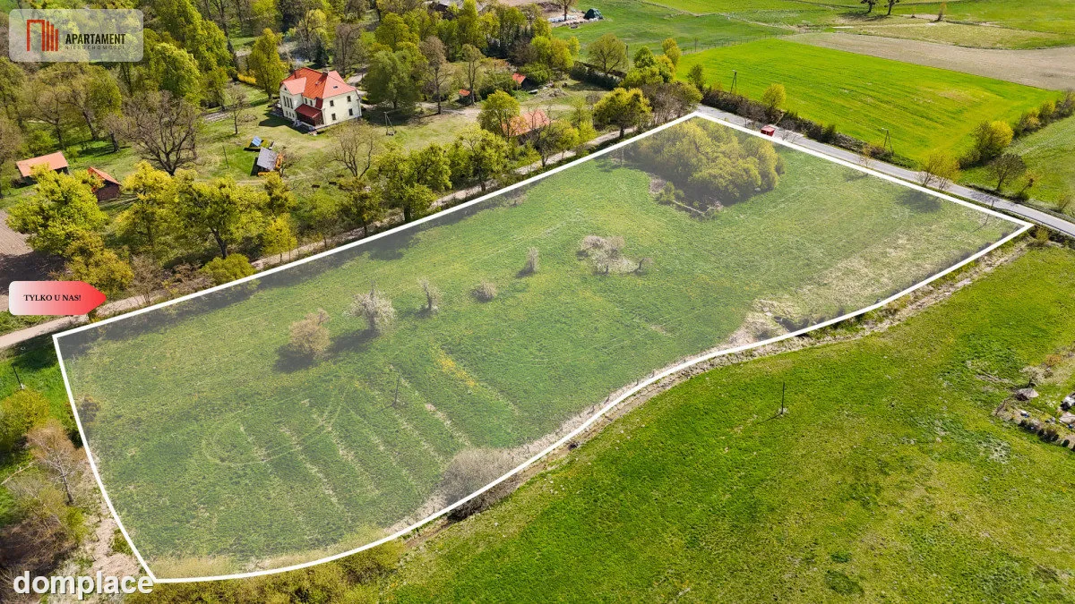 Tylko u nas! | Duża działka 1,46 ha | Suchoręcz — zdjęcie 3