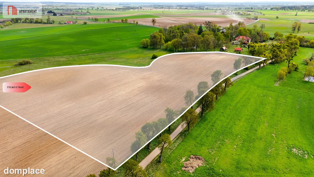 Działka rolna 1,98 ha - Tylko u nas — zdjęcie 2
