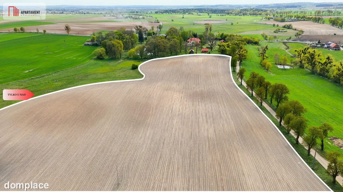 Działka rolna 1,98 ha - Tylko u nas — zdjęcie 3