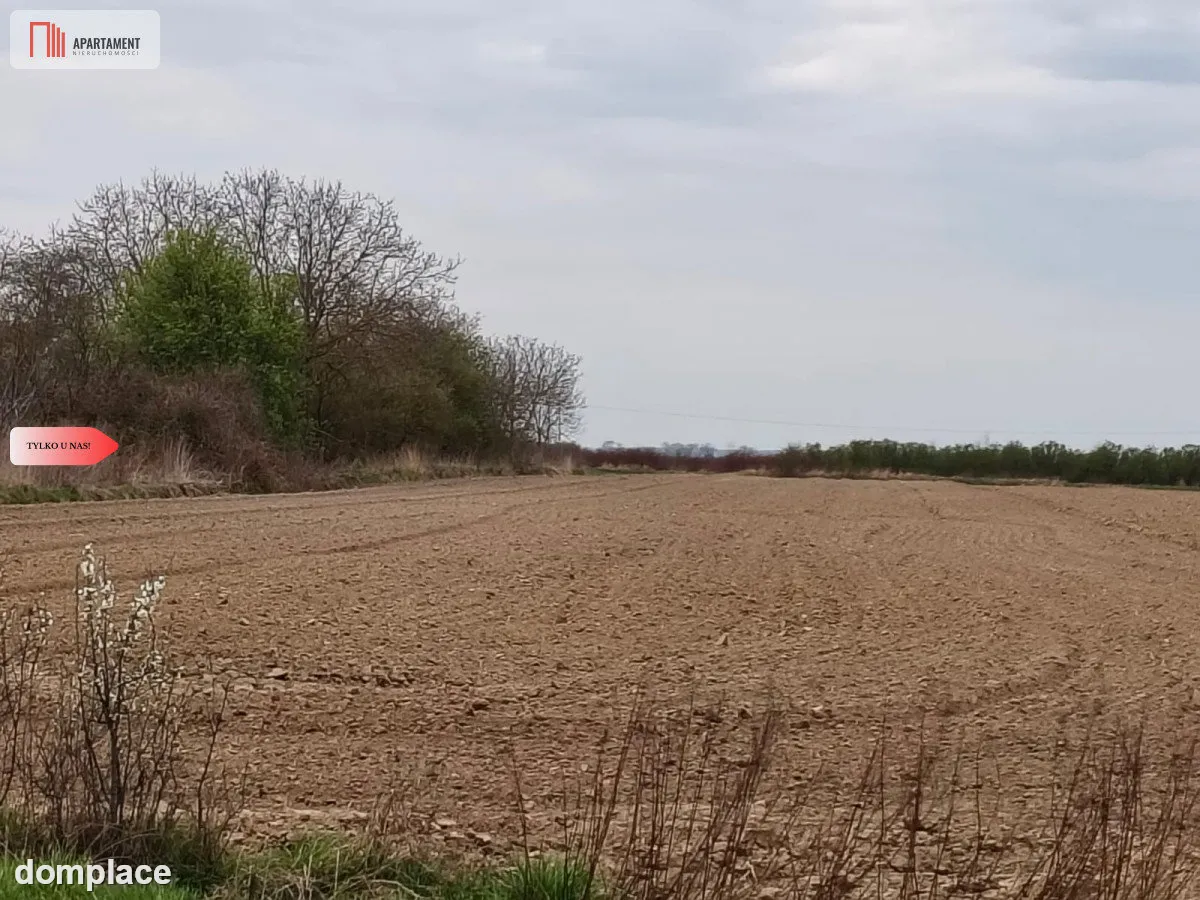 duża działka rolna przy A8 — zdjęcie 4