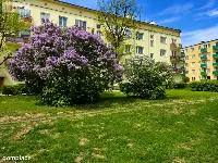 REZERWACJA Osiedle Leśne 3 pokojowe mieszkanie — zdjęcie 1