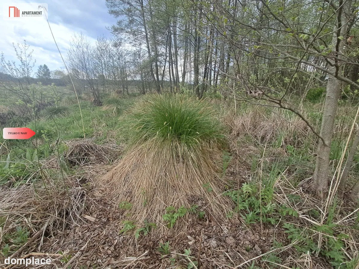 Działka 1,33 ha Nad rzeką WIERZYCA-LIPY-STRUGA! — zdjęcie 4