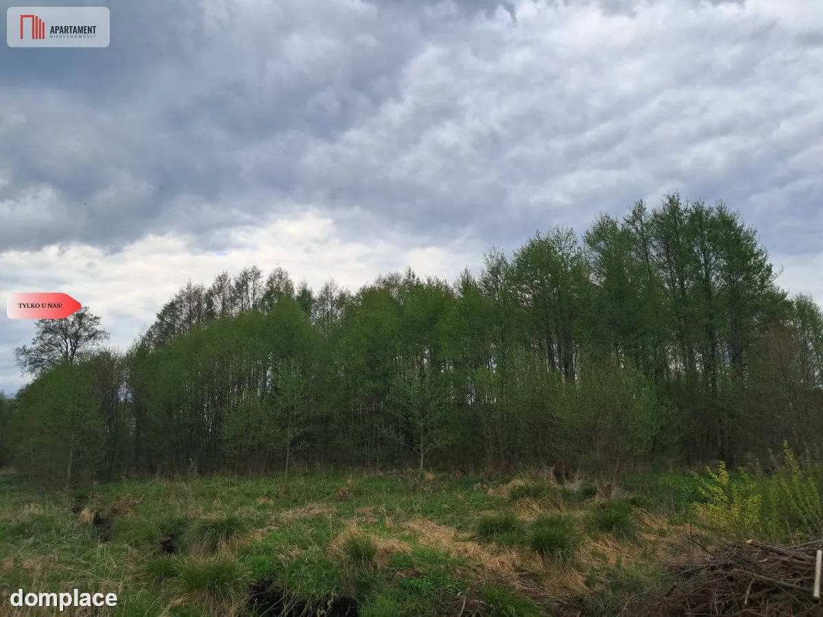 Działka 1,33 ha Nad rzeką WIERZYCA-LIPY-STRUGA! — zdjęcie 5